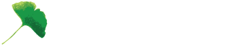 Ginkgo Studio Logo